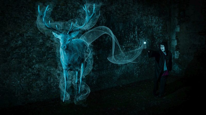 1st – Conjuring Up A Stag Patronus by Kathryn Graham