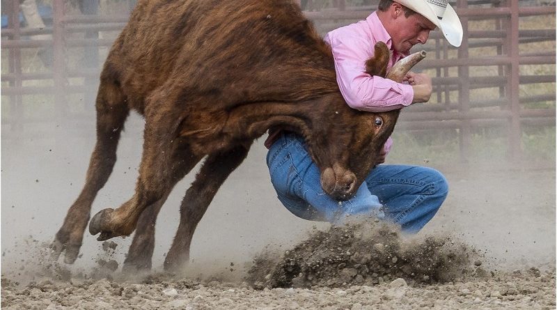 2nd – Steer Wrestling by Neil Purcell