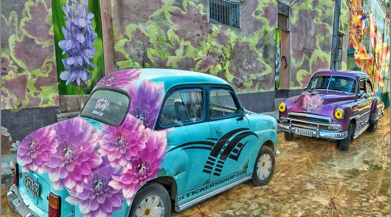 Highly Commended – Flower Power A Photographers Grafitti by Wendy Collens