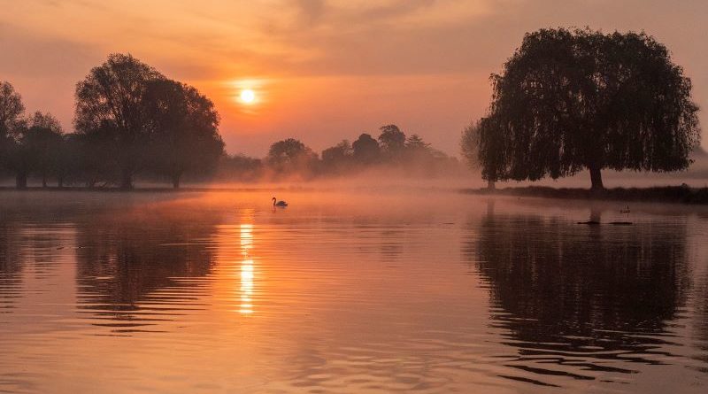 Golden Sunrise by Linda Kent