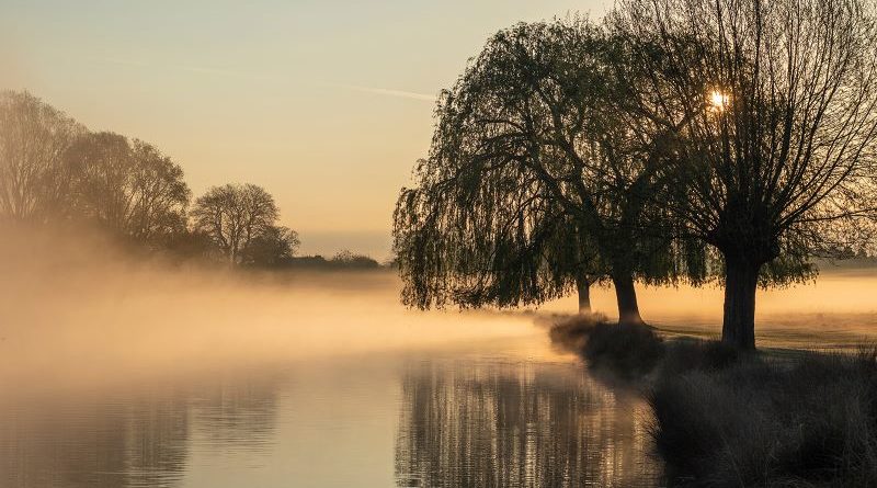 City Morning by Clare Edwards