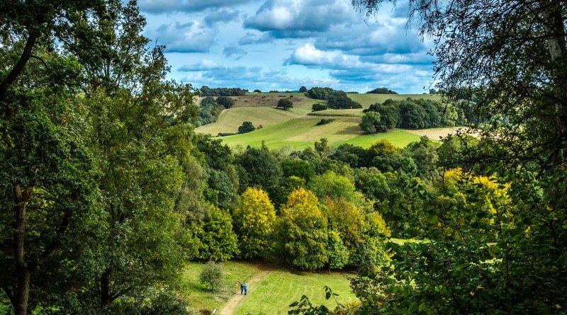 A walk in the Arboretum by Martyn Sharp