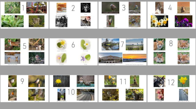Selection of panels from the lockdown competition