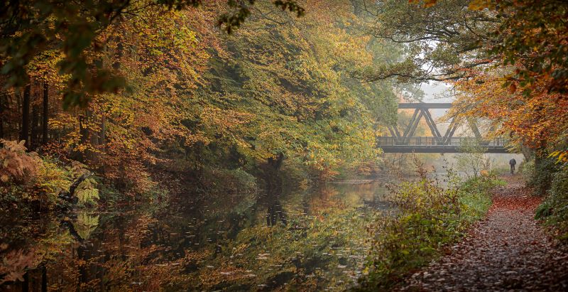 Autumn Ride by the Canal by Kathryn Graham