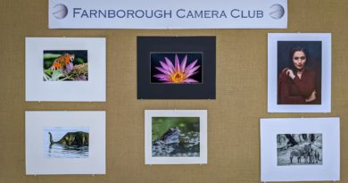 Annual Exhibition 2020