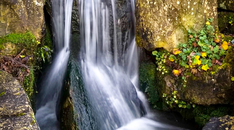 Wisley Waterfall by Martyn Sharp