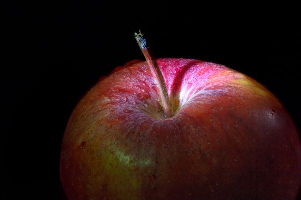 Apple by Naomi Ward