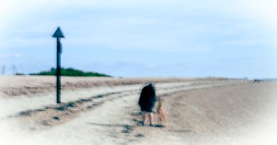 Dog walker at Hayling Island taken with a slow shutter speed