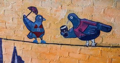 Pigeons at Waterloo Station