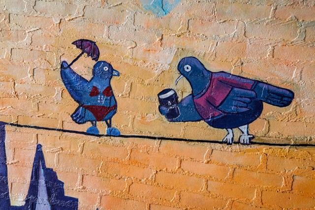 Pigeons at Waterloo Station