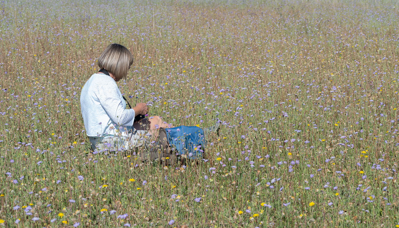 Nature SIG – Trip to Old Down